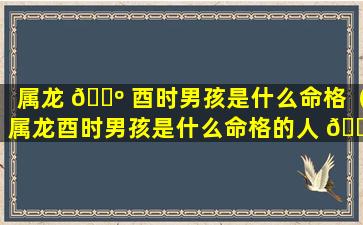 属龙 🌺 酉时男孩是什么命格（属龙酉时男孩是什么命格的人 🌴 ）